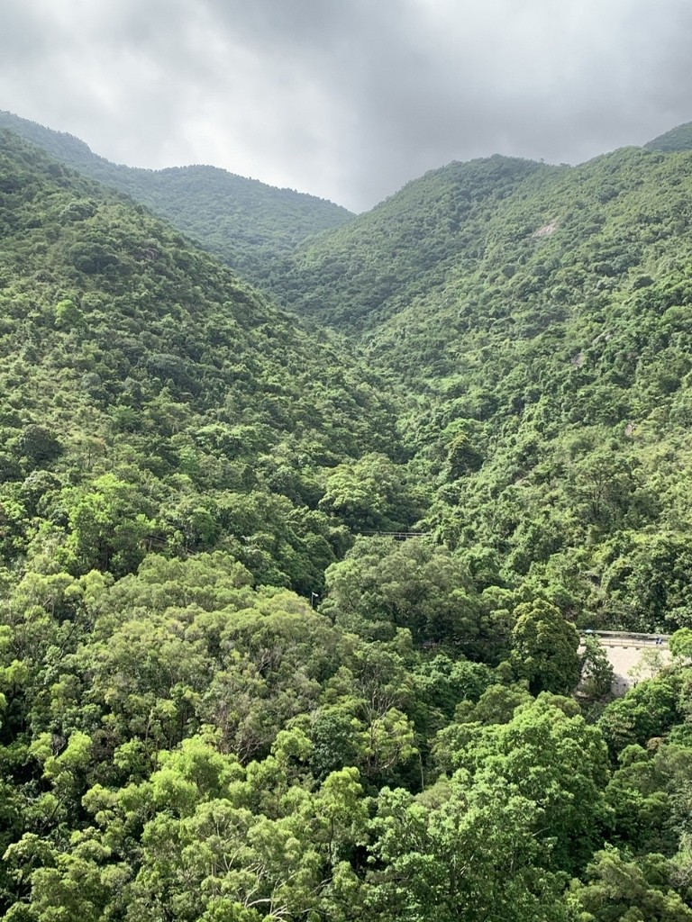 免佣金即入住傢俬設施齊整潔向南全山景四窗單人房 - 沙田/火炭 - 房间 (合租／分租) - Homates 香港