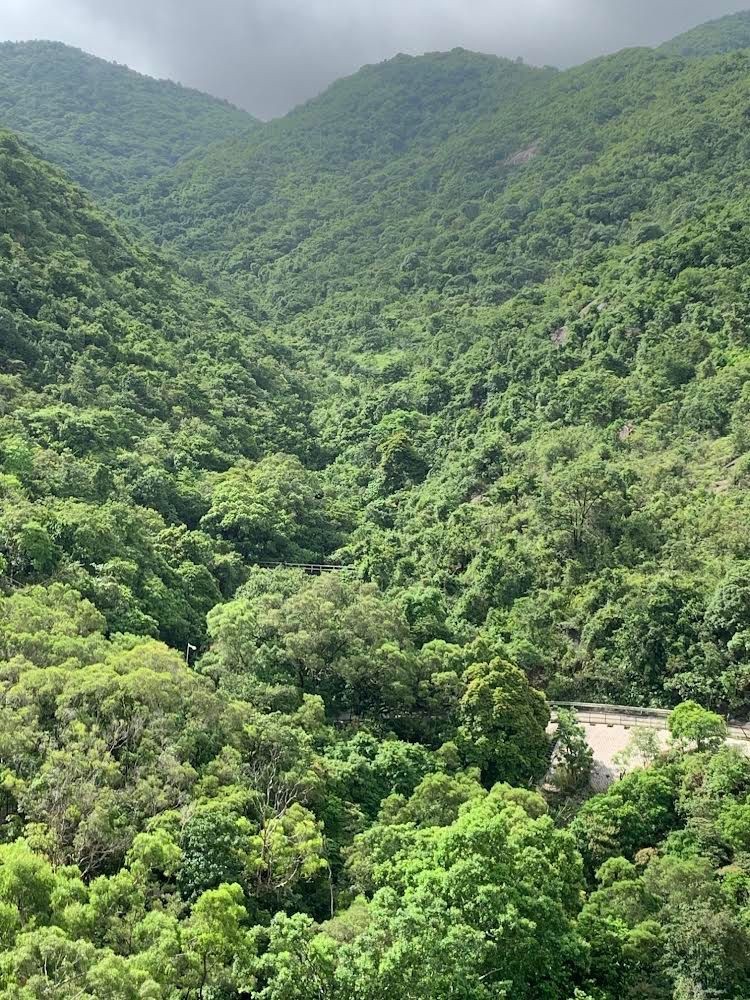 免佣金向南山景4窗高層整潔單人房只限租客 - 沙田/火炭 - 房間 (合租／分租) - Homates 香港