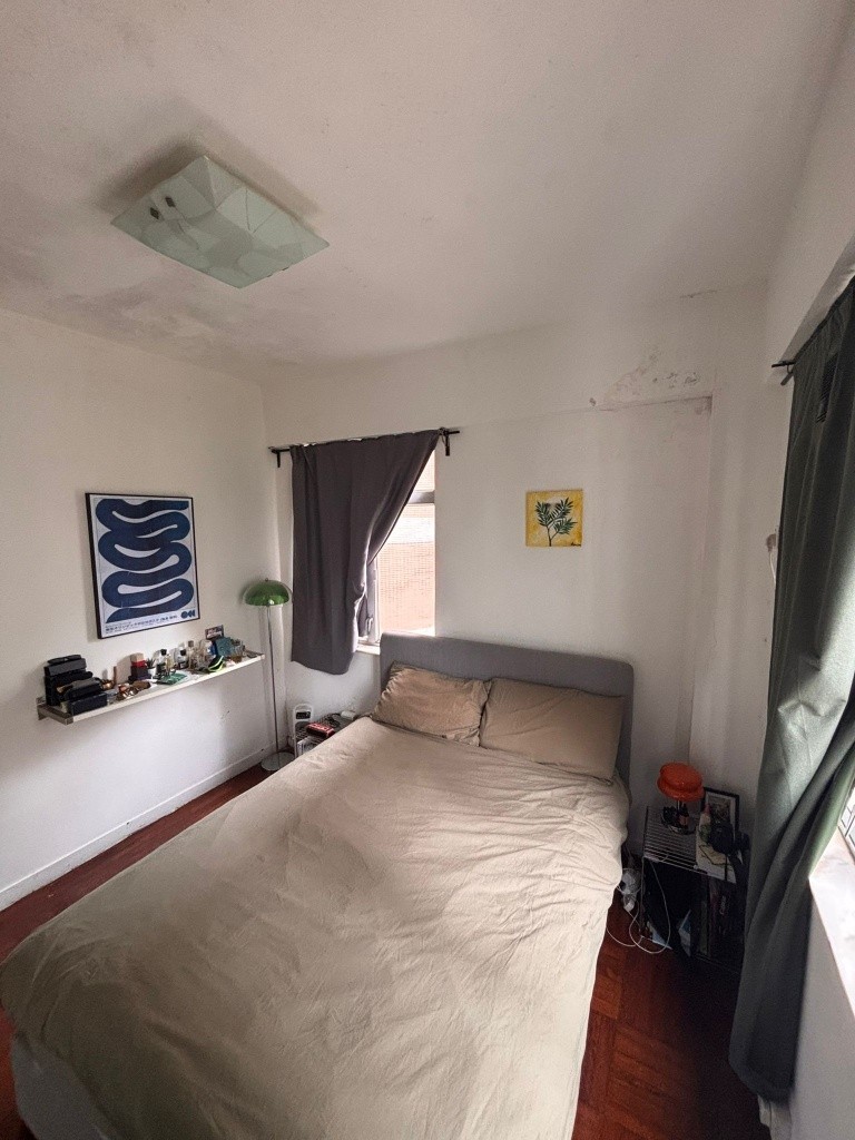 Nice and large flat to share in Sai Yin Pun with rooftop - 西半山 - 住宅 (整間出租) - Homates 香港