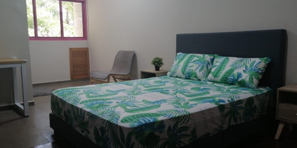 Available 2 May - Master Bed Room/ Private Bathroom/Strictly Single Occupancy/no Owner Staying/No Agent Fee/Cooking allowed/Bugis MRT/ Lavender / Nicoll Highway MRT / Katong  - Bugis 白沙浮 - 整个住家 - Homates 新加坡