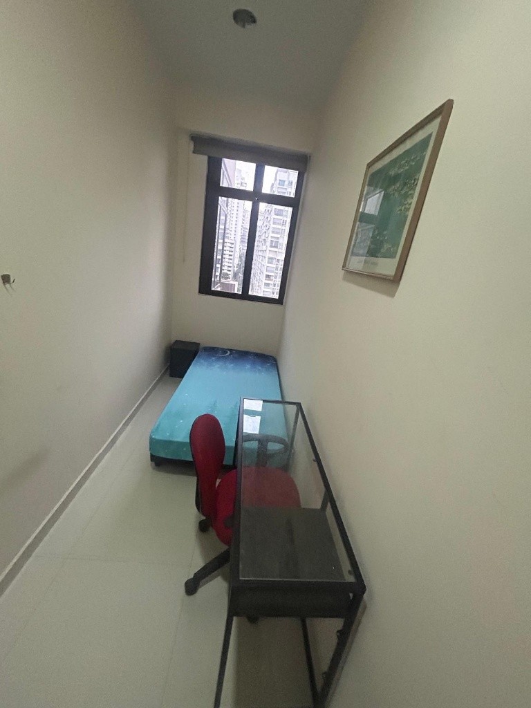 Room For Rent - Balestier  - Novena 諾維娜 - 整個住家 - Homates 新加坡