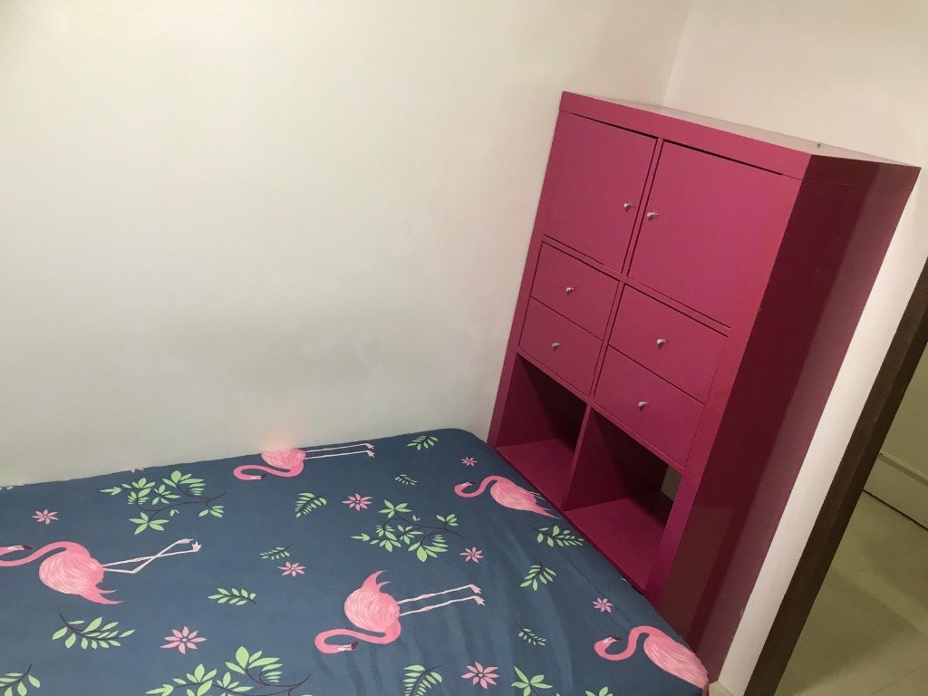 Room For Rent - BALESTIER POINT - Novena 諾維娜 - 分租房間 - Homates 新加坡