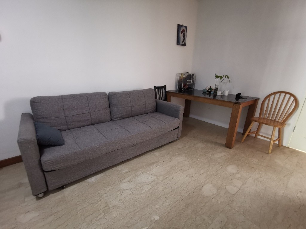 Room for Rent / River Valley (Somerset MRT) / Common Room / 1 Pax Stay / Available Immediate - Orchard - Flat - Homates Singapore