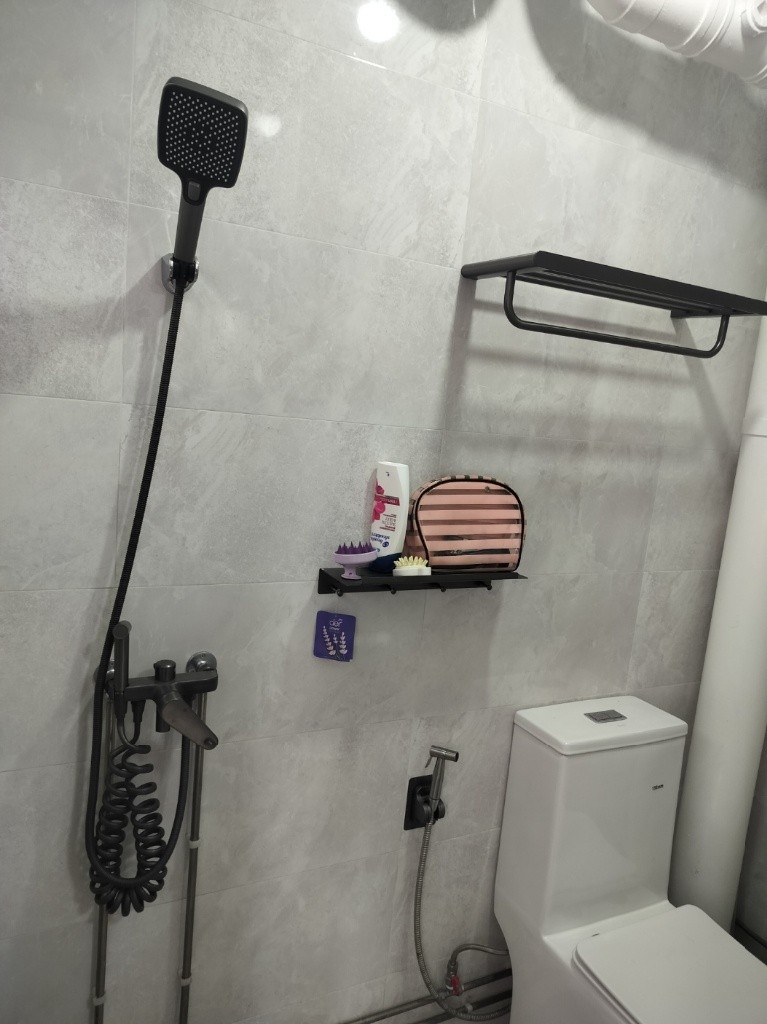 FEMALE ONLY, SOLO COMMON ROOM FOR RENT - Bishan - Flat - Homates Singapore