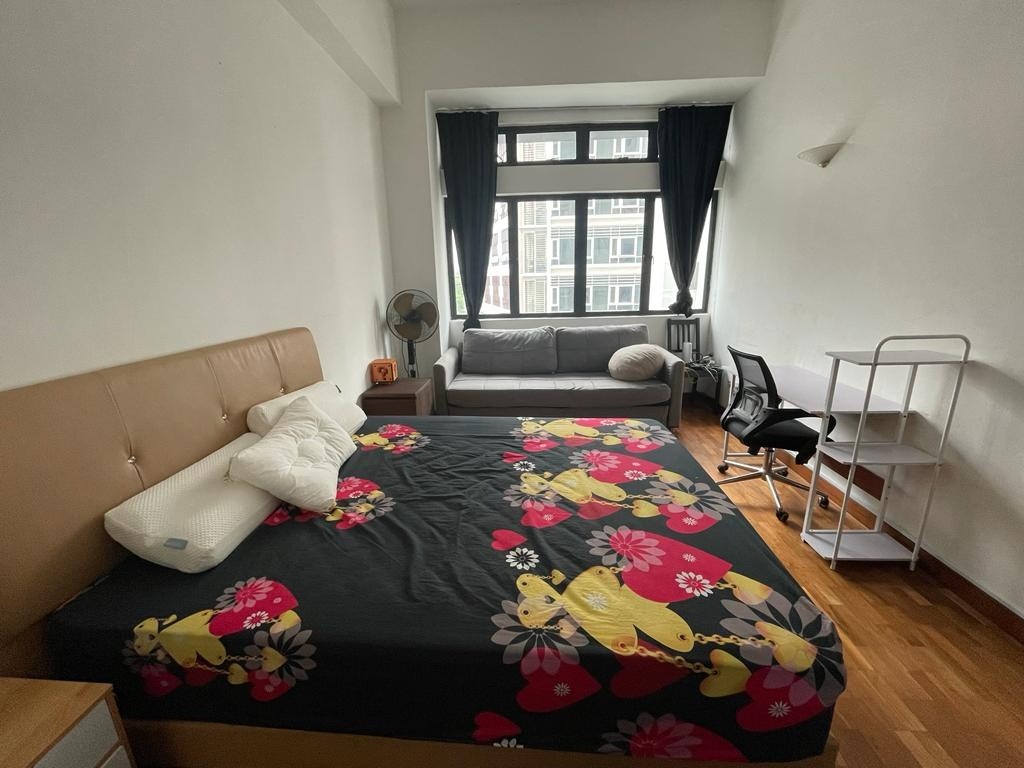 AvailableAvailable -﻿ Master Room/Include Utilities/Wifi/Aircon/No Agent Fee/Light Cooking Allowed/Washing Machine - Somerset 索美塞 - 分租房間 - Homates 新加坡