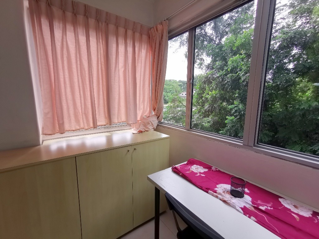 Available﻿ Immediate- Common Room/Include Utilities/Wifi/Aircon/No Agent Fee/Light Cooking Allowed/Washing Machine - Clementi 金文泰​​ - 分租房間 - Homates 新加坡