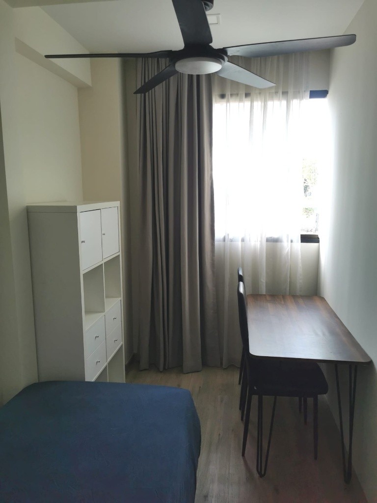 Common Room for Rent/ 547A Balestier Road, Singapore 329863/ Available Immediate - Novena 诺维娜 - 整个住家 - Homates 新加坡