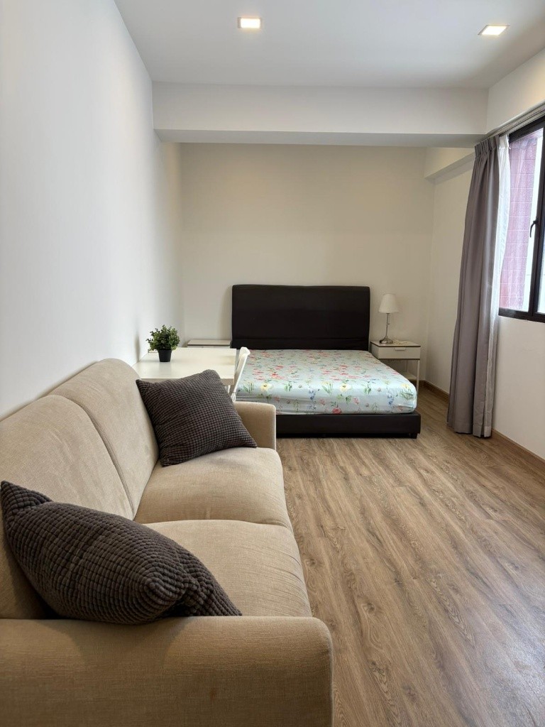 📍Condo Common Room at Balestier -  Available Jul 9 - Novena 诺维娜 - 整个住家 - Homates 新加坡