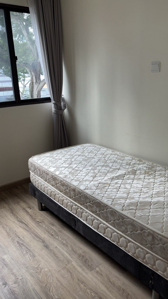 Room for rent / BALESTIER / NOVENA / Common room / 1pax stay / Available immediate - Novena 诺维娜 - 分租房间 - Homates 新加坡