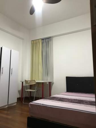 Room for rent /Summer Green/Common room/1 pax/Available Immediately - Toa Payoh 大巴窑 - 分租房间 - Homates 新加坡