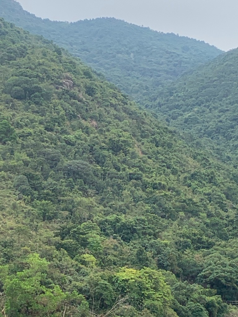 免佣金月租$4000傢俬設施齊清靜向南全山景四窗單人房出租 - 沙田/火炭 - 房間 (合租／分租) - Homates 香港