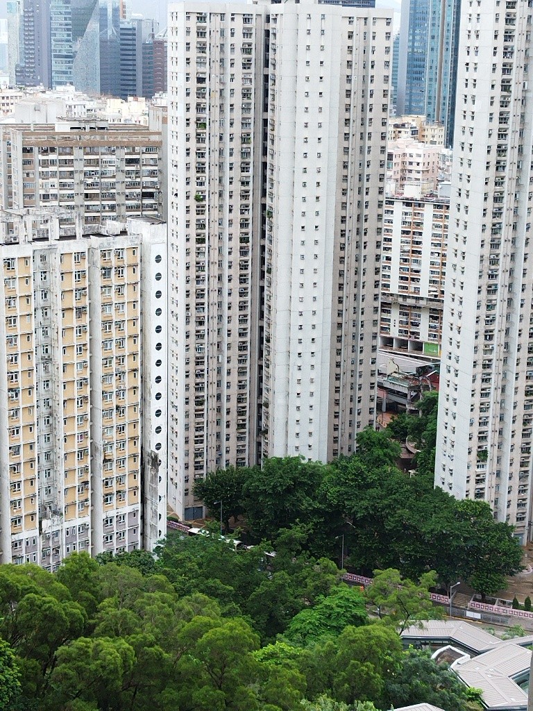 租比家庭 - 觀塘/秀茂坪 - 住宅 (整間出租) - Homates 香港