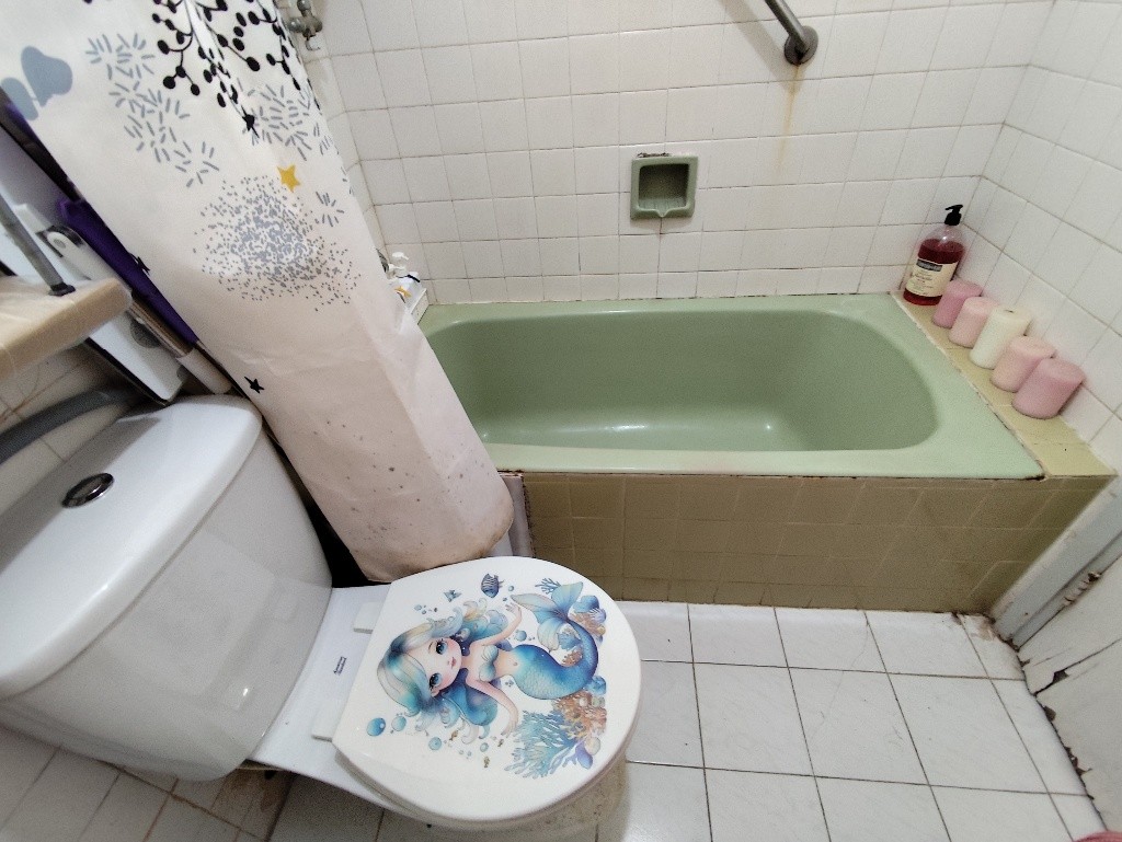 港島東優質園林開揚房間出租 - 鰂魚涌 - 房間 (合租／分租) - Homates 香港