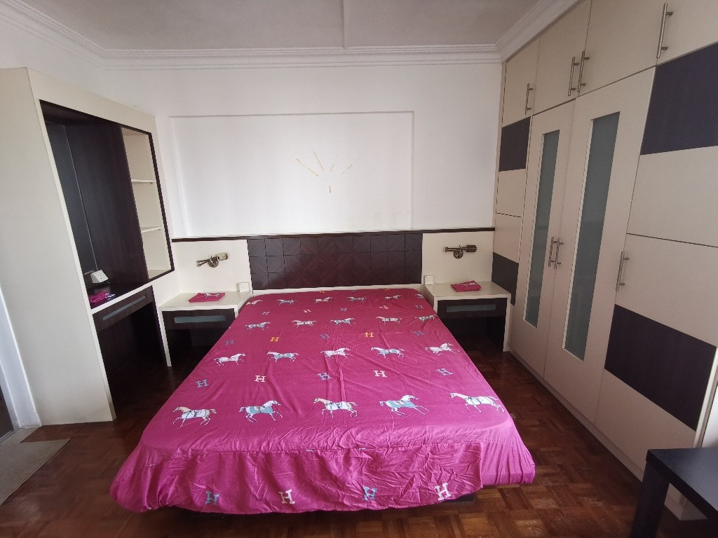 Outram MRT/Tanjong Pagar MRT/Chinatown MRT/Master Room/ Available 17 Dec/ No Agent Fee - Tanjong Pagar 丹戎巴葛 - 分租房間 - Homates 新加坡