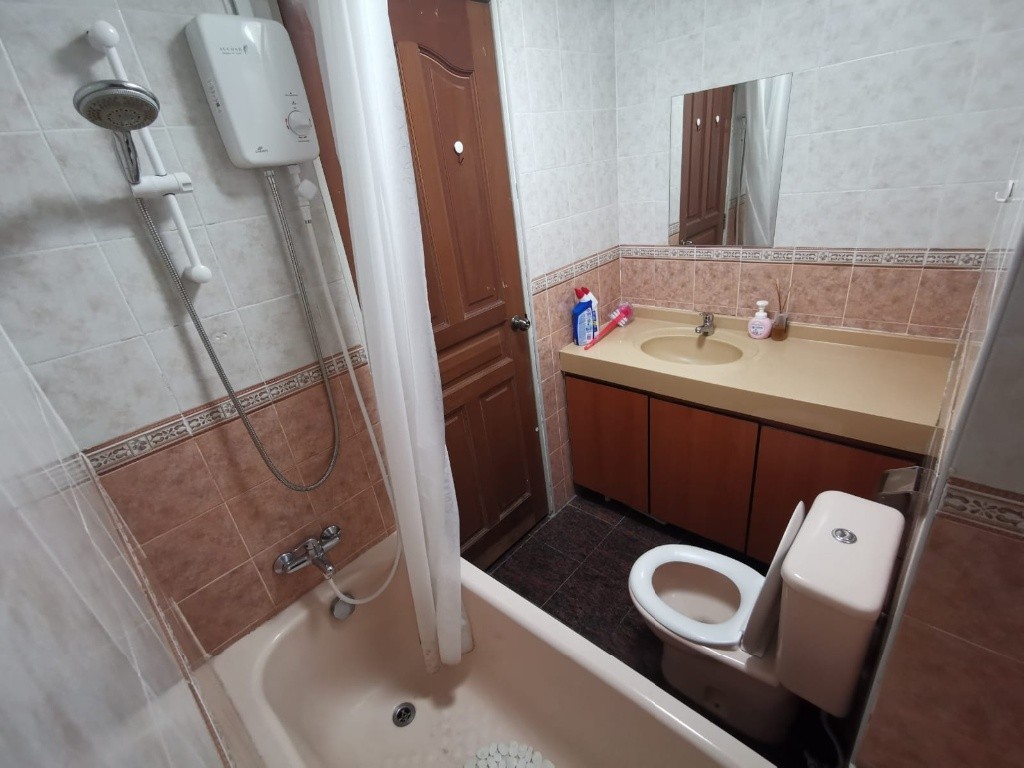 Novena MRT / Mount Pleasant MRT / Available Immediately / Min 3 - 12 Month Reantal / For 1 - 2 - Newton 紐頓 - 整個住家 - Homates 新加坡