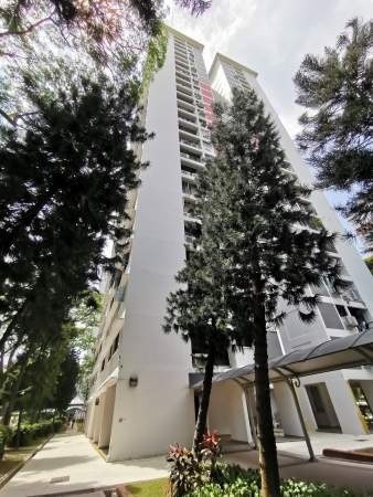 Room For Rent - 107 Spottiswoode Park Road Rm2 - Chinatown 牛車水 - 整個住家 - Homates 新加坡