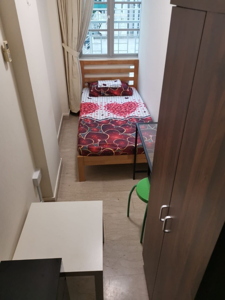 Room For Rent - Pinetree Condominium - Bukit Timah 武吉知馬 - 整個住家 - Homates 新加坡