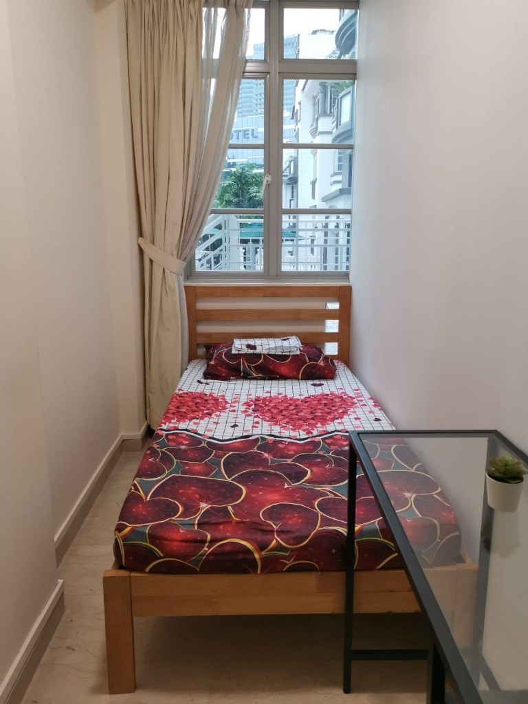 Room For Rent - Pinetree Condominium - Bukit Timah 武吉知馬 - 整個住家 - Homates 新加坡