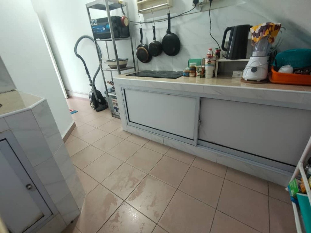 HORNE ROAD 90C HR#90CRM1 - Rochor - Flat - Homates Singapore