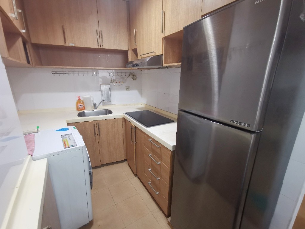 The Plaza - TP#29-309RM4 - Bugis - Flat - Homates Singapore