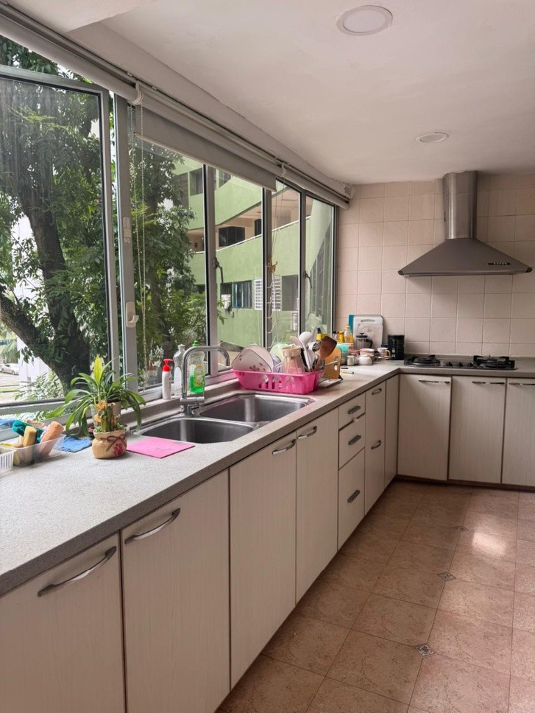 Room for Rent/1N Pine Grove, #03-61, Singapore 591301/ For 1-2 pax/ Available Immediately - Bukit Timah 武吉知馬 - 整个住家 - Homates 新加坡