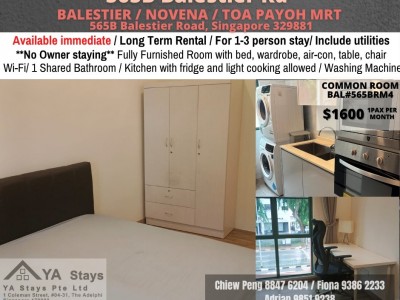 新加坡 -  - 565B Balestier Road, Singapore 329881